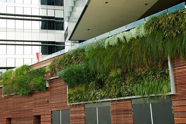 StrataData---Rooftop-Gardens-(5)