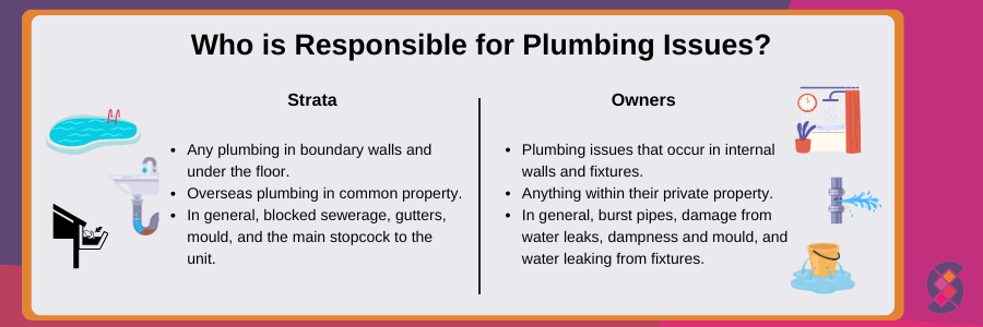 plumbing strata building responsibilities 