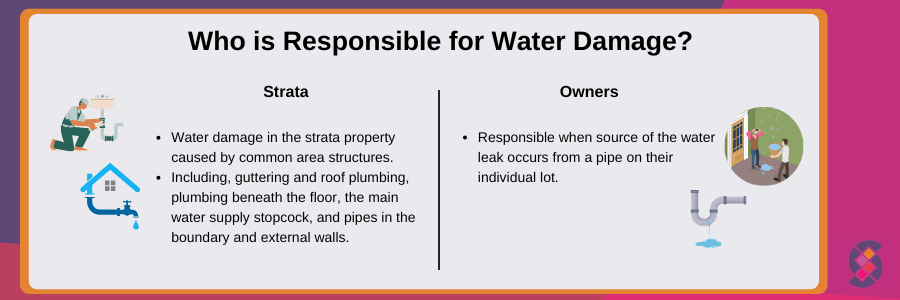 water damage responsibilities in strata properties